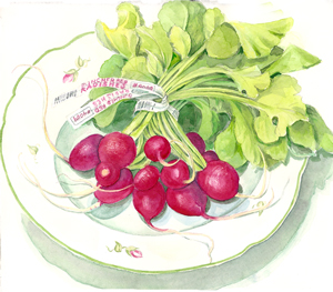 Radishes in a Plate Watercolor